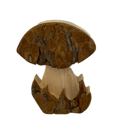 Bark Mushrooms available at American Swedish Institute.