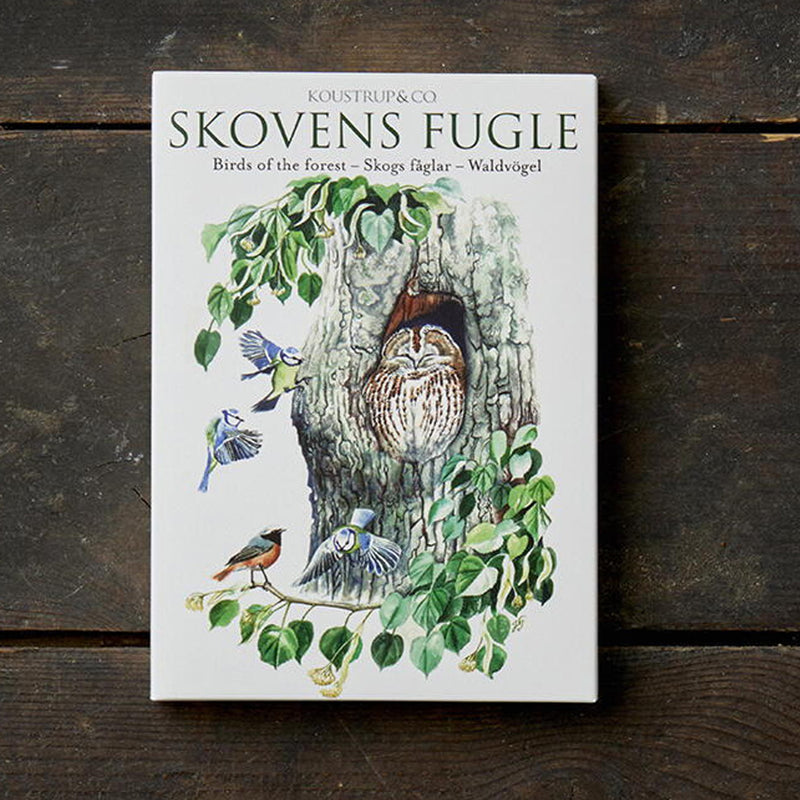 Skovens Fugle Boxed Cards available at American Swedish Institute.