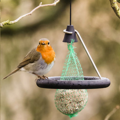 Fatball Bird Feeder available at American Swedish Institute.