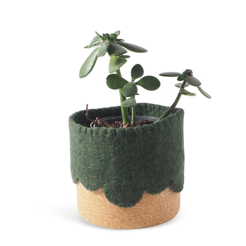 Moss Green Flower Pot available at American Swedish Institute.