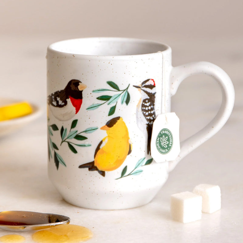 Feathered Friends Birds Mug available at American Swedish Institute.