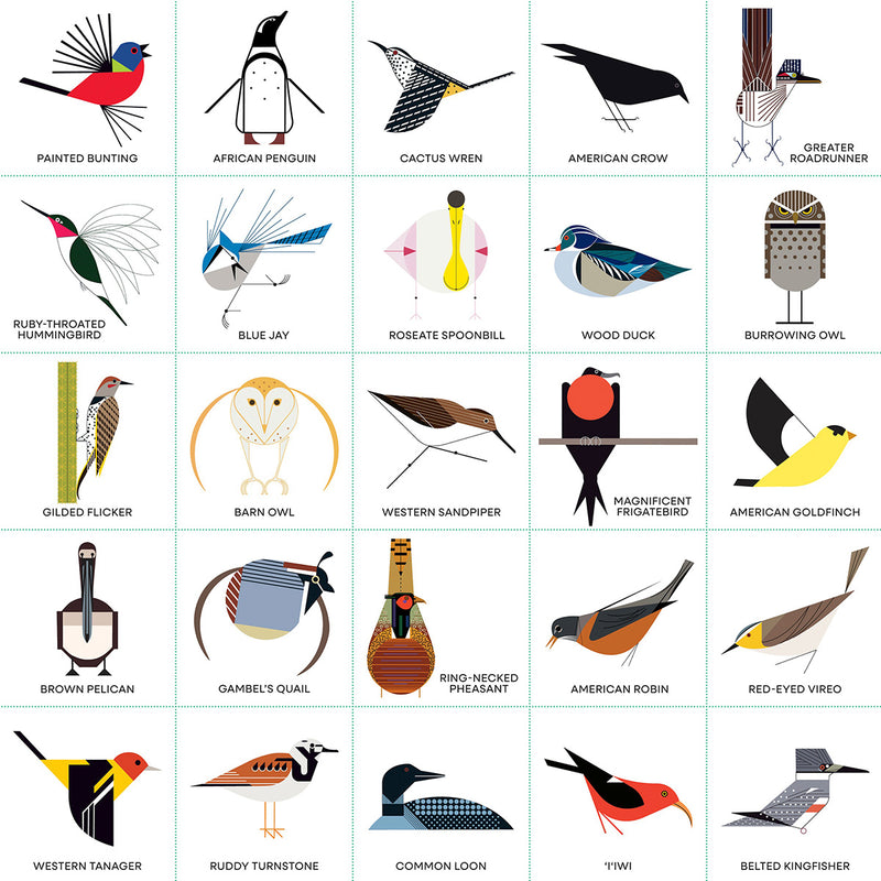 Charley Harper’s Bird Bingo available at American Swedish Institute.