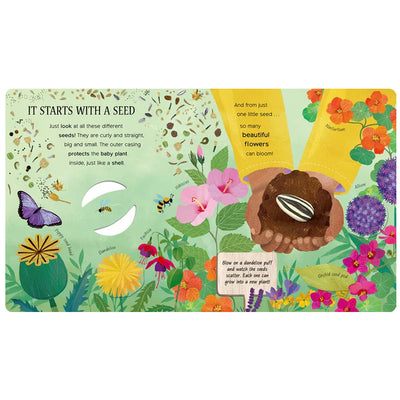 One Little Seed (Exploring Nature) available at American Swedish Institute.