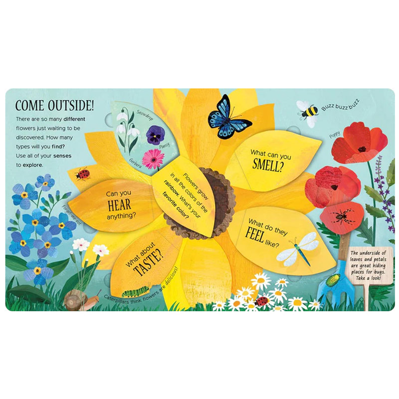 One Little Seed (Exploring Nature) available at American Swedish Institute.