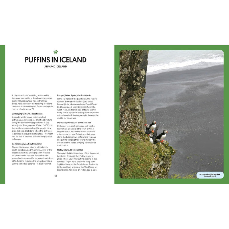 Intrepid Iceland available at American Swedish Institute.