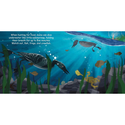 Good Night Loons Board Book available at American Swedish Institute.