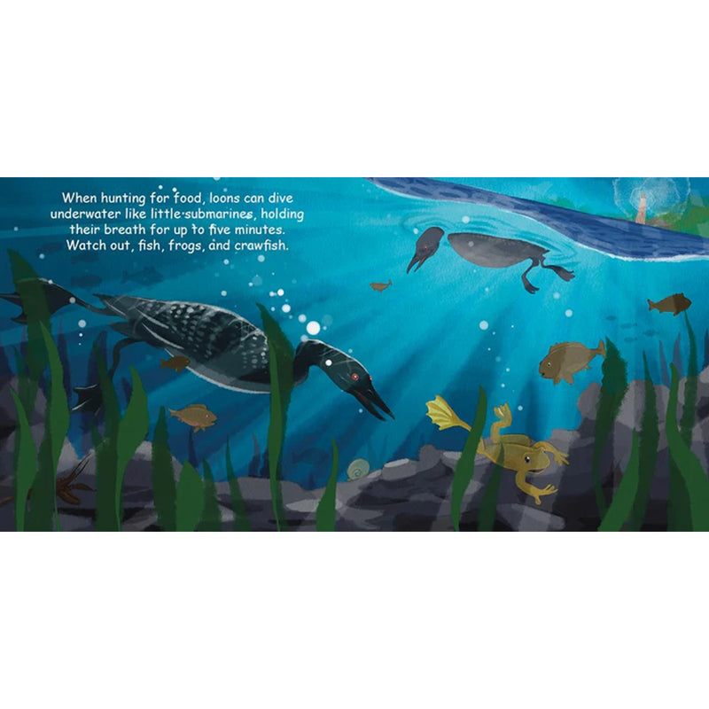 Good Night Loons Board Book available at American Swedish Institute.