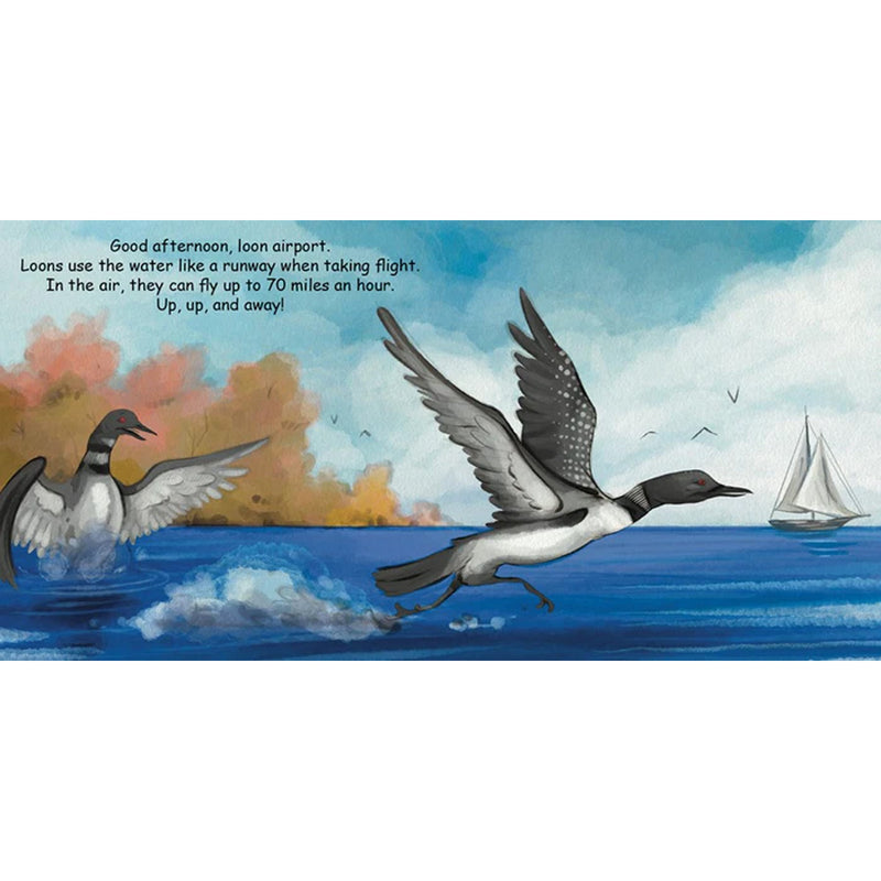 Good Night Loons Board Book available at American Swedish Institute.