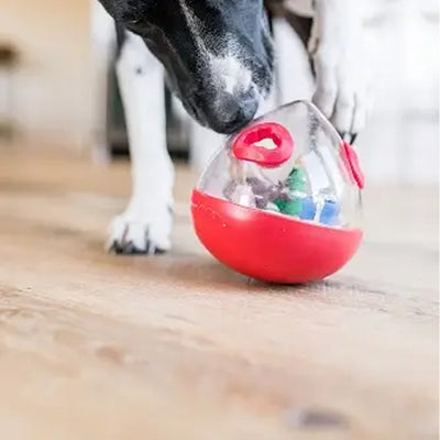 Wobble Pet Ball available at American Swedish Institute.
