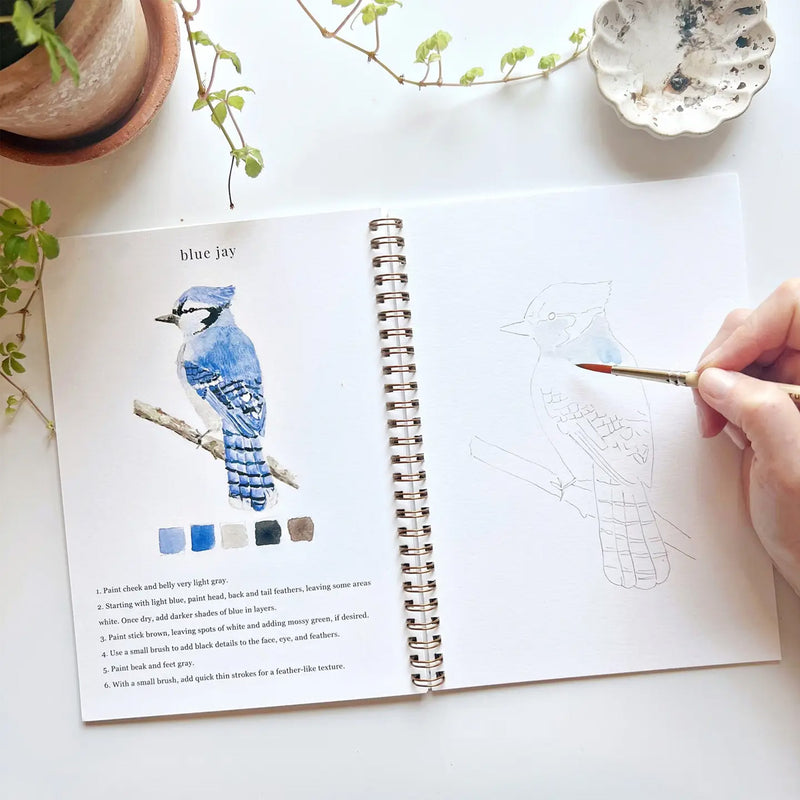 Birds Watercolor Workbook available at American Swedish Institute.