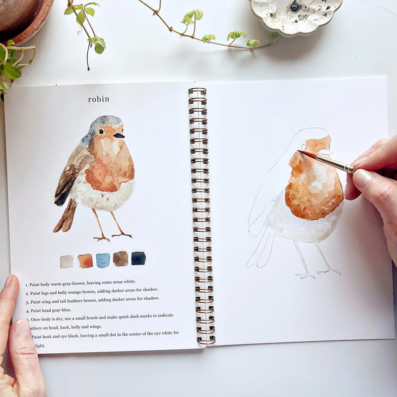 Birds Watercolor Workbook available at American Swedish Institute.