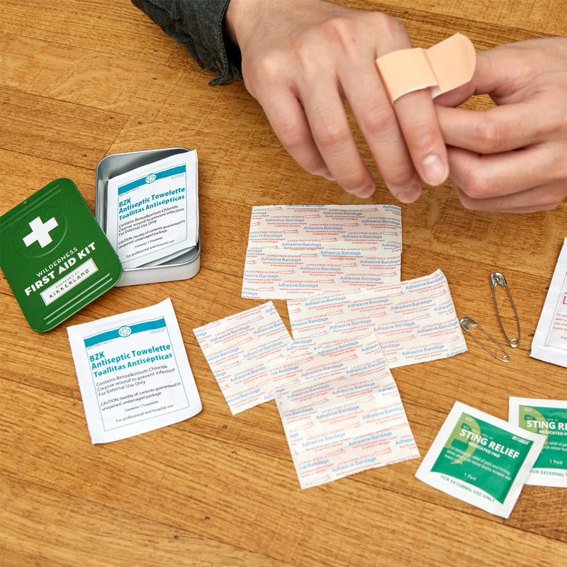 Wilderness First Aid Kit available at American Swedish Institute.