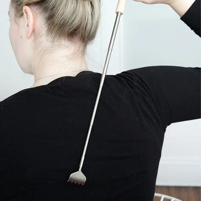 Back Scratcher available at American Swedish Institute.