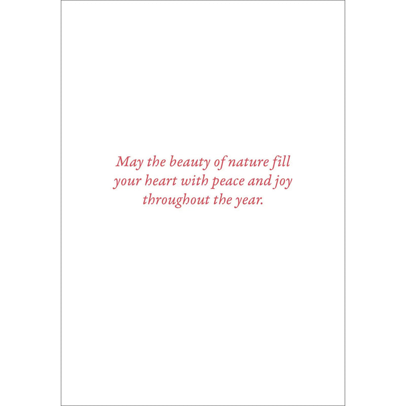 Cardinals in Evergreen Small Boxed Holiday Cards available at American Swedish Institute.