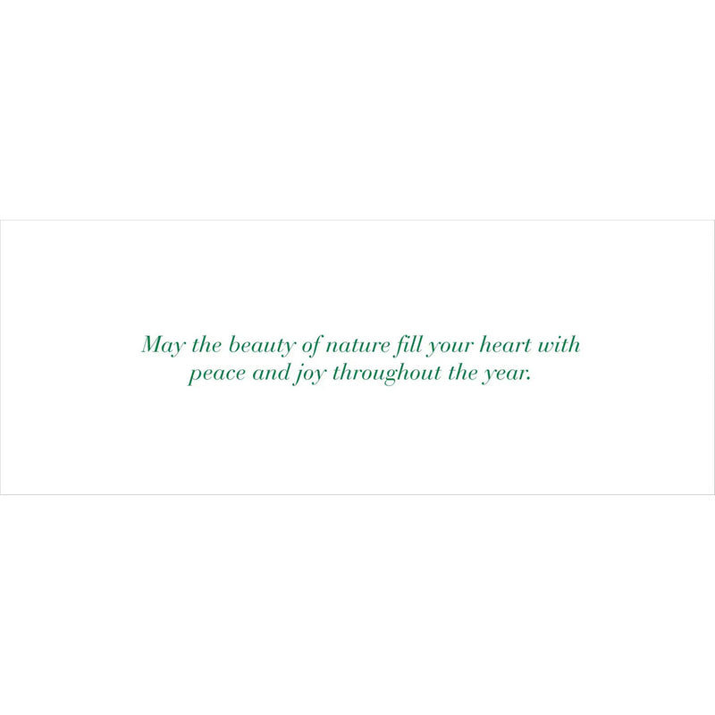 Winter Forest Friends Panoramic Boxed Holiday Cards available at American Swedish Institute.
