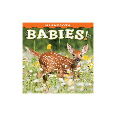 Minnesota Babies! Board Book available at American Swedish Institute.