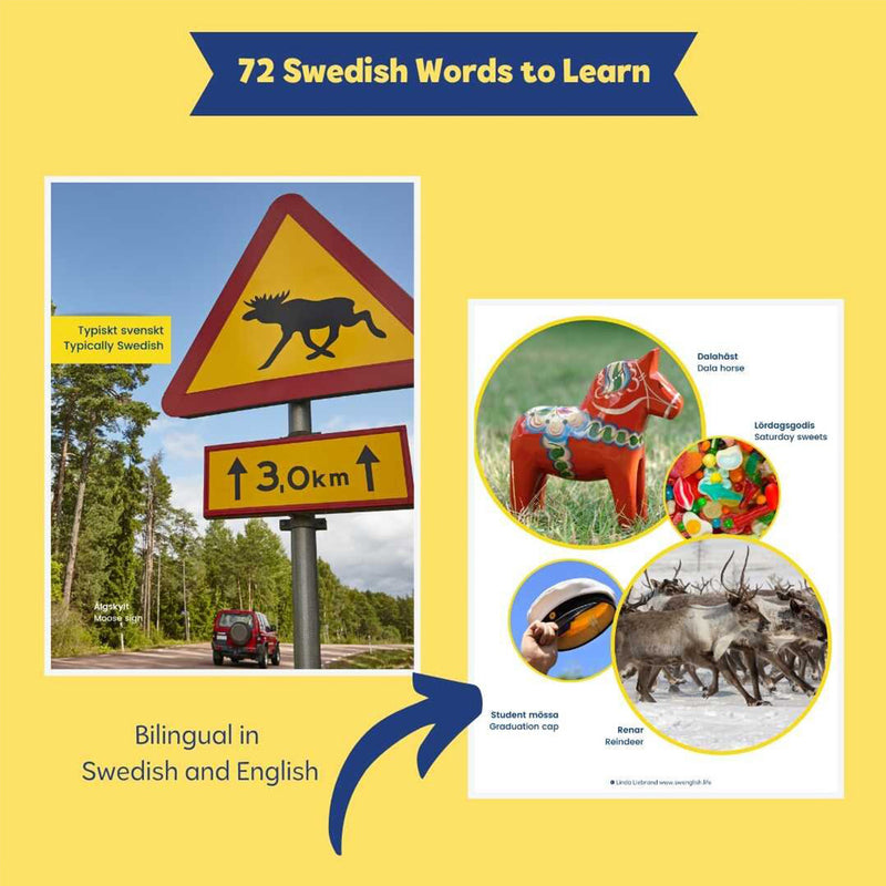 My First Book About Sweden (Min första bok Om Sverige) available at American Swedish Institute.