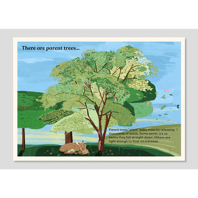 A Family of Trees [fold-out board book]