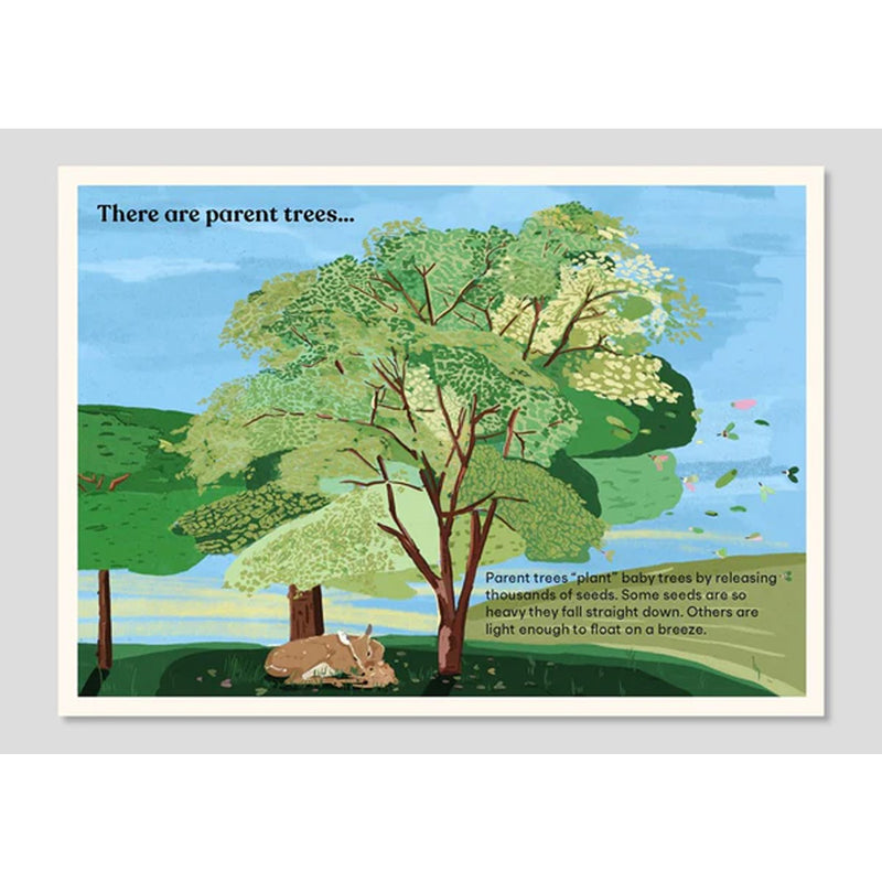 A Family of Trees [fold-out board book]