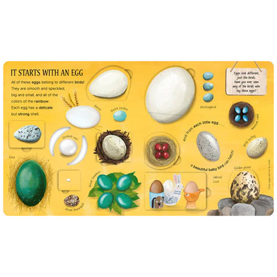 One Little Egg:  Exploring Nature for Curious Kids available at American Swedish Institute.