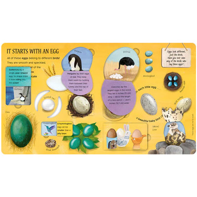 One Little Egg:  Exploring Nature for Curious Kids available at American Swedish Institute.