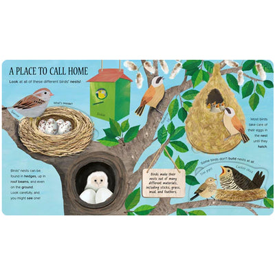 One Little Egg:  Exploring Nature for Curious Kids available at American Swedish Institute.