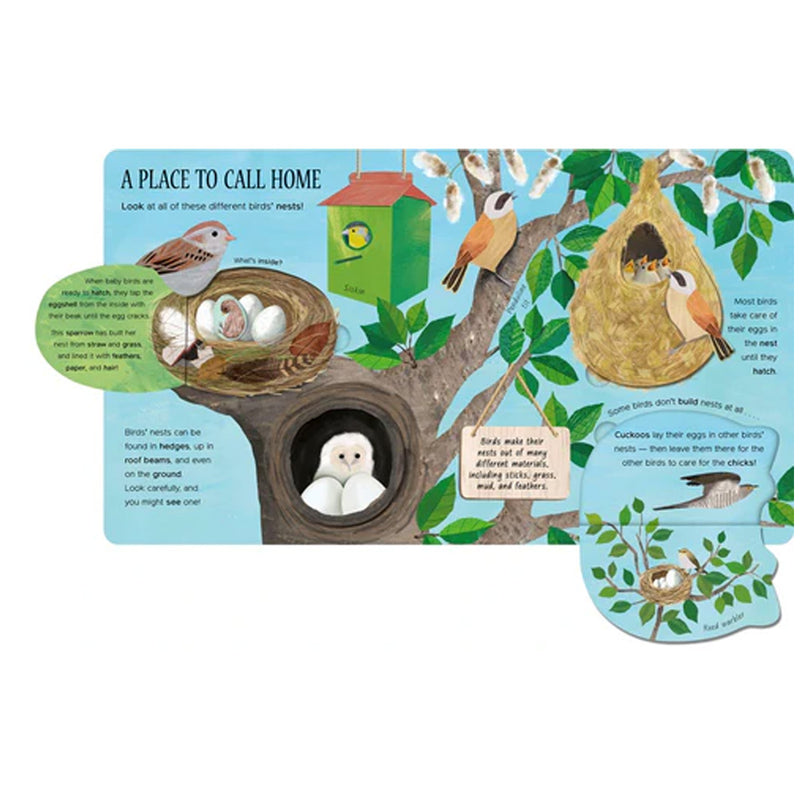 One Little Egg:  Exploring Nature for Curious Kids available at American Swedish Institute.