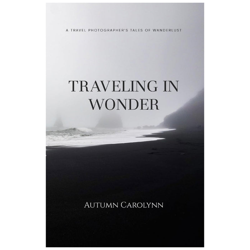 Traveling in Wonder by Autumn Carolynn available at American Swedish Institute.