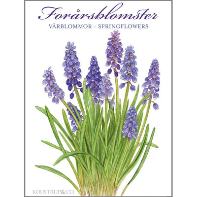 Forårsblomster Card Set available at American Swedish Institute.