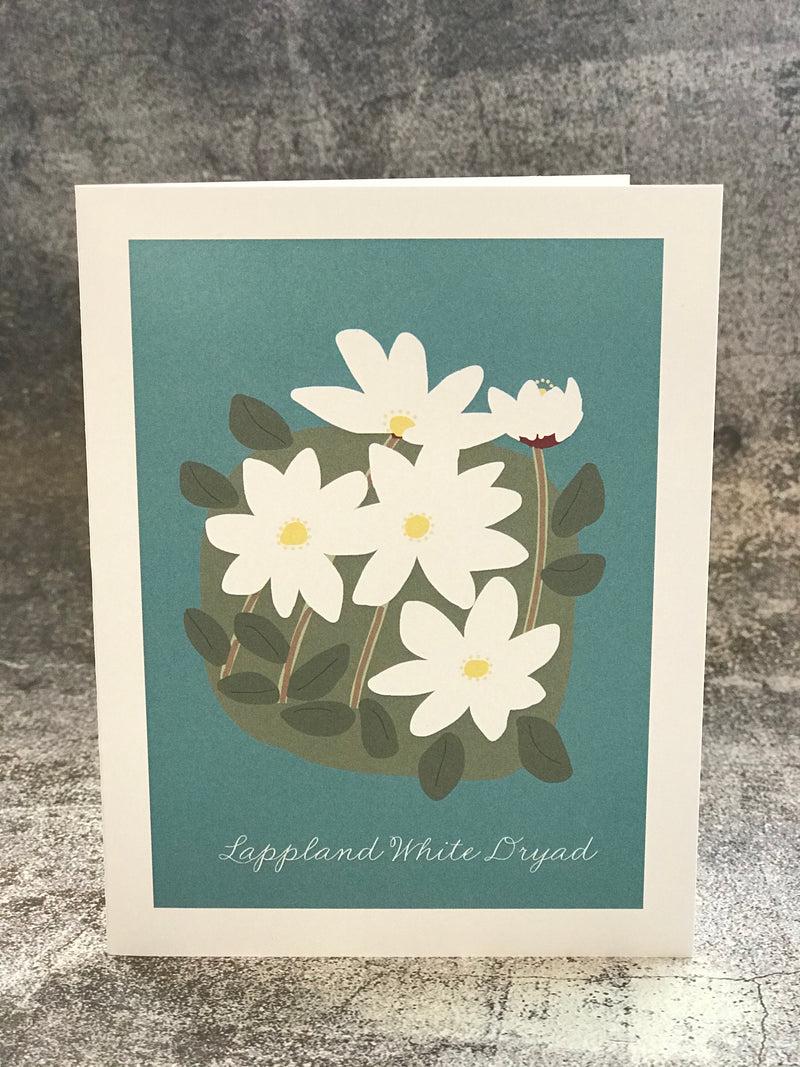 Lappland White Dryad Greeting Card American Swedish Institute