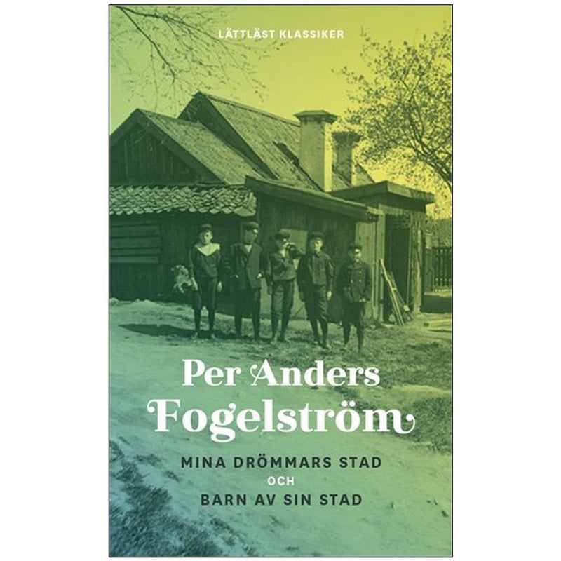 Mina drömmars stad (lättläst) available at American Swedish Institute.