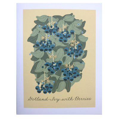 Gotland Ivy and Berries Greeting Card American Swedish Institute.