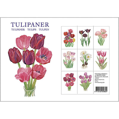 Tulipaner Boxed Cards available at American Swedish Institute.